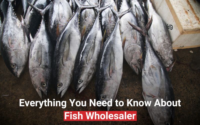 Read more about the article Everything You Need to Know About Fish Wholesaler